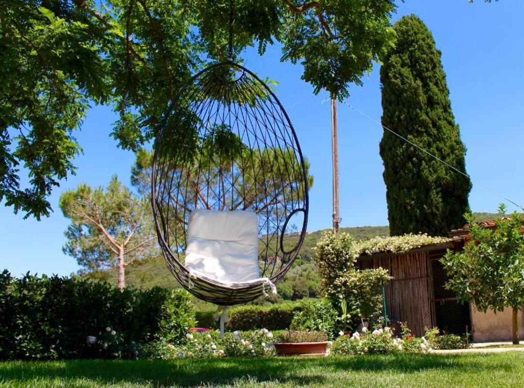 Agriturismo Vecchio Imposto Massa Marittima Extérieur photo